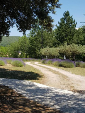 Les Néfliers